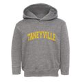 Taneyville Missouri Varsity Toddler Hoodie additional view 1