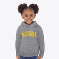 Michiana Michigan Varsity Toddler Hoodie additional view 2
