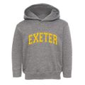 Exeter Illinois Varsity Toddler Hoodie additional view 1