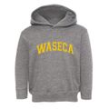 Waseca Minnesota Varsity Toddler Hoodie additional view 1