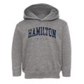 Hamilton Ohio Urban Vibe Toddler Hoodie additional view 1