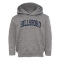 Hillsboro Illinois Urban Vibe Toddler Hoodie additional view 1