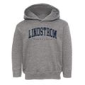 Lindstrom Minnesota Urban Vibe Toddler Hoodie additional view 1