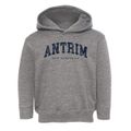 Antrim New Hampshire Urban Vibe Toddler Hoodie additional view 1