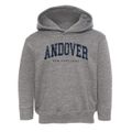 Andover New Hampshire Urban Vibe Toddler Hoodie additional view 1
