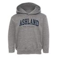 Ashland New Hampshire Urban Vibe Toddler Hoodie additional view 1