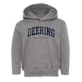 Deering New Hampshire Urban Vibe Toddler Hoodie additional view 1