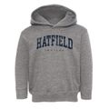 Hatfield Indiana Urban Vibe Toddler Hoodie additional view 1