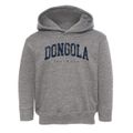 Dongola Illinois Urban Vibe Toddler Hoodie additional view 1