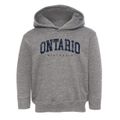 Ontario Wisconsin Urban Vibe Toddler Hoodie additional view 1