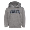 Americus Indiana Urban Vibe Toddler Hoodie additional view 1