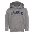 Pleasant Plains Arkansas Urban Vibe Toddler Hoodie additional view 1