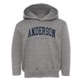 Anderson Alabama Urban Vibe Toddler Hoodie additional view 1