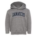 Damascus Maryland Urban Vibe Toddler Hoodie additional view 1