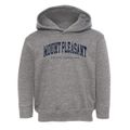 Mount Pleasant South Carolina Urban Vibe Toddler Hoodie additional view 1