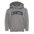 Evanston Illinois Urban Vibe Toddler Hoodie additional view 1