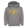 Berrien Springs Michigan Star Toddler Hoodie additional view 1