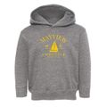 Mayview Missouri Yacht Club Toddler Hoodie additional view 1