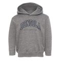 Dongola Illinois Inline Toddler Hoodie additional view 1