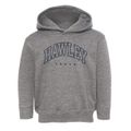 Hawley Texas Inline Toddler Hoodie additional view 1