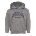 Silver Peak Nevada Inline Toddler Hoodie additional view 1