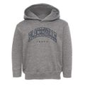 Placerville Idaho Inline Toddler Hoodie additional view 1