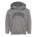 Stotesbury Missouri Inline Toddler Hoodie additional view 1