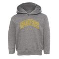 Willow Park Texas Inline Toddler Hoodie additional view 1
