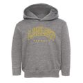 Ludlow Vermont Inline Toddler Hoodie additional view 1