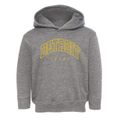 Detroit Texas Inline Toddler Hoodie additional view 1