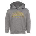 Carey Idaho Inline Toddler Hoodie additional view 1