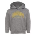 Ardencroft Delaware Inline Toddler Hoodie additional view 1