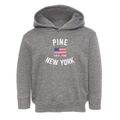 Pine New York Patriot Toddler Hoodie additional view 1