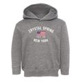 Crystal Spring New York Patriot Toddler Hoodie additional view 1