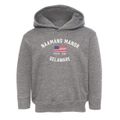 Naamans Manor Delaware Patriot Toddler Hoodie additional view 1