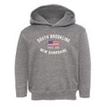 South Brookline New Hampshire Patriot Toddler Hoodie additional view 1