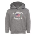 Harmony Minnesota Patriot Toddler Hoodie additional view 1