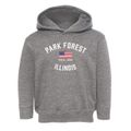 Park Forest Illinois Patriot Toddler Hoodie additional view 1