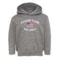 Pleasant Plains New Jersey Patriot Toddler Hoodie additional view 1