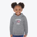 Cushing Iowa Patriot Toddler Hoodie additional view 2