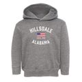 Hillsdale Alabama Patriot Toddler Hoodie additional view 1