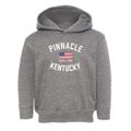 Pinnacle Kentucky Patriot Toddler Hoodie additional view 1