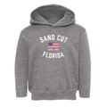 Sand Cut Florida Patriot Toddler Hoodie additional view 1