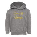 Chico Hot Springs Montana Freestyle Toddler Hoodie additional view 1
