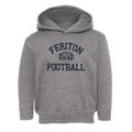 Feriton Washington Football Toddler Hoodie additional view 1