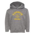 Bloomington Missouri Pickleball Toddler Hoodie additional view 1