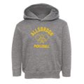Allsbrook South Carolina Pickleball Toddler Hoodie additional view 1