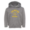 Arlington Massachusetts Pickleball Toddler Hoodie additional view 1