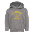 Lithopolis Ohio Pickleball Toddler Hoodie additional view 1