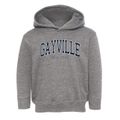 Gayville New York Traditional Toddler Hoodie additional view 1
